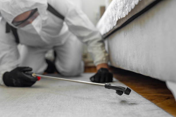 Professional Bed Bug Control technician working in Honeoye Falls, NY