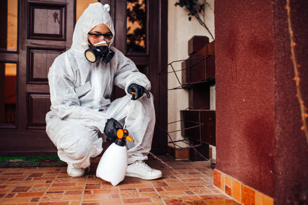Reliable Bed Bug Control contractor in Honeoye Falls, NY by Nex Pest Control