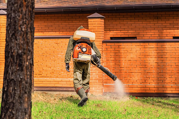 Trusted Termite Control service in Honeoye Falls, NY - Nex Pest Control